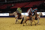 Quadrille - 00219